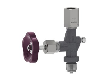 CCBB Gauge Valve